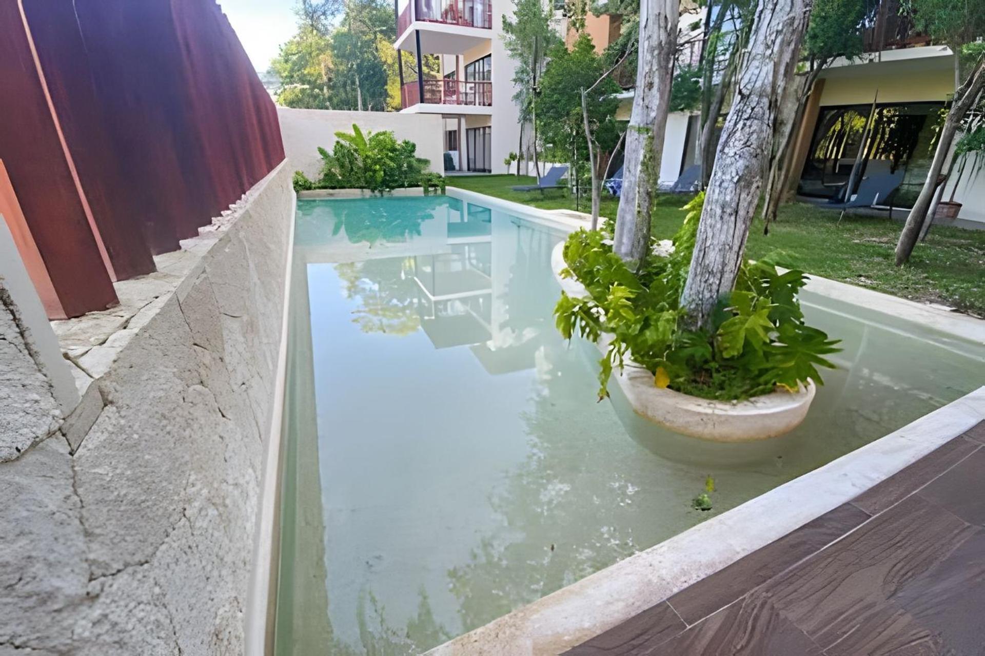 Villa Loft increíble king size Alberca infinita,Gym en medio de la selva Tulum Esterno foto